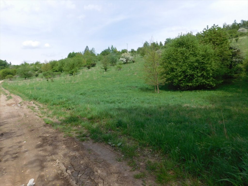 Działka inwestycyjna z widokiem na góry w Kudowie-Zdroju Kudowa-Zdrój, Zakrze  14 256m2 Foto 1