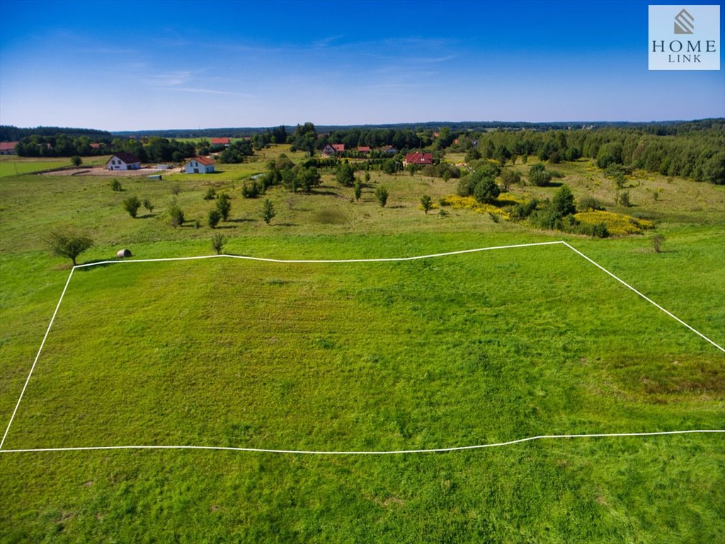 Działka budowlana na sprzedaż Woryty  3 446m2 Foto 9