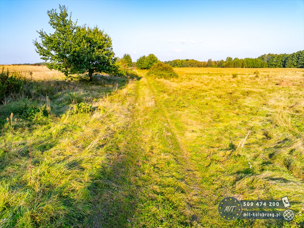 Działka budowlana na sprzedaż Daszewo  1 222m2 Foto 5