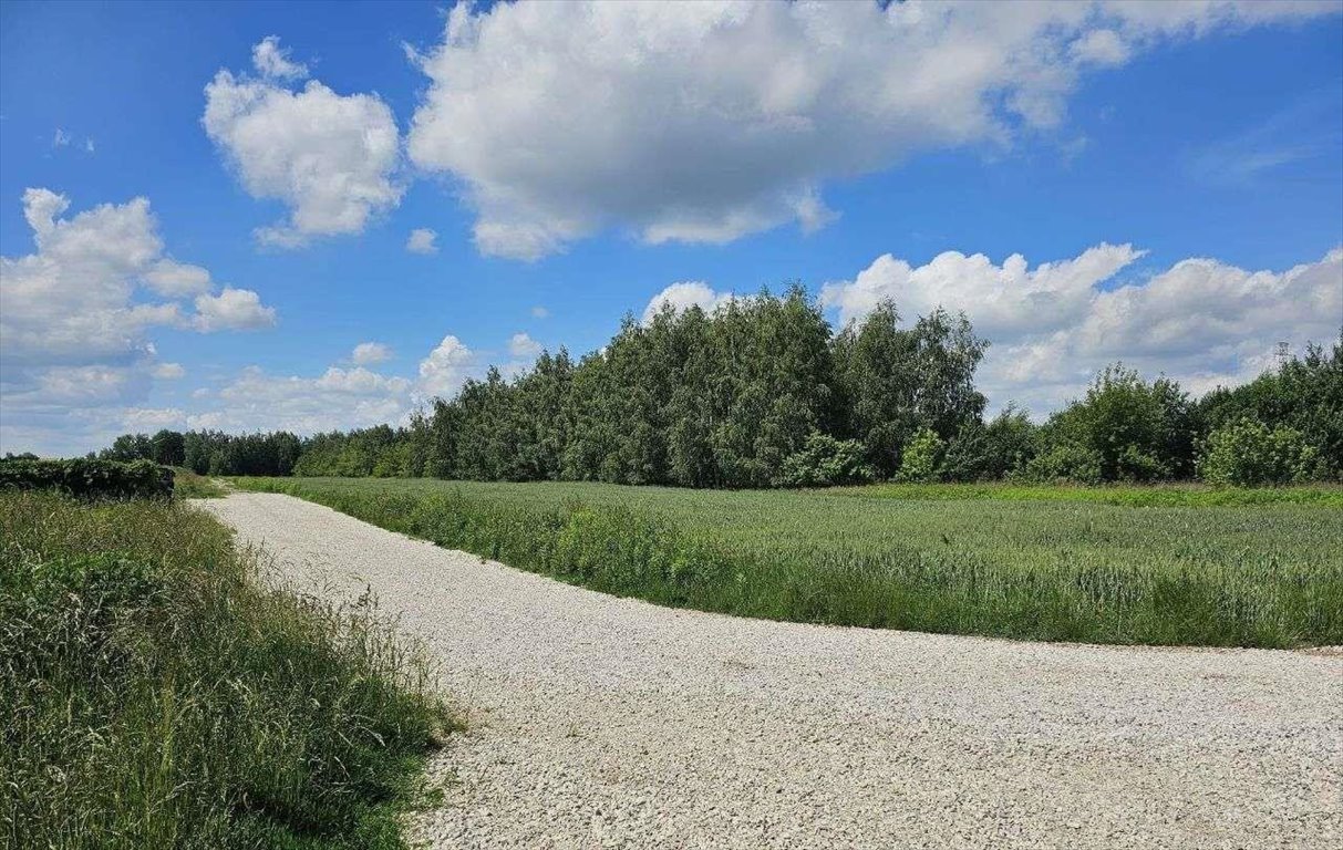 Działka budowlana na sprzedaż Władysławów  8 967m2 Foto 8