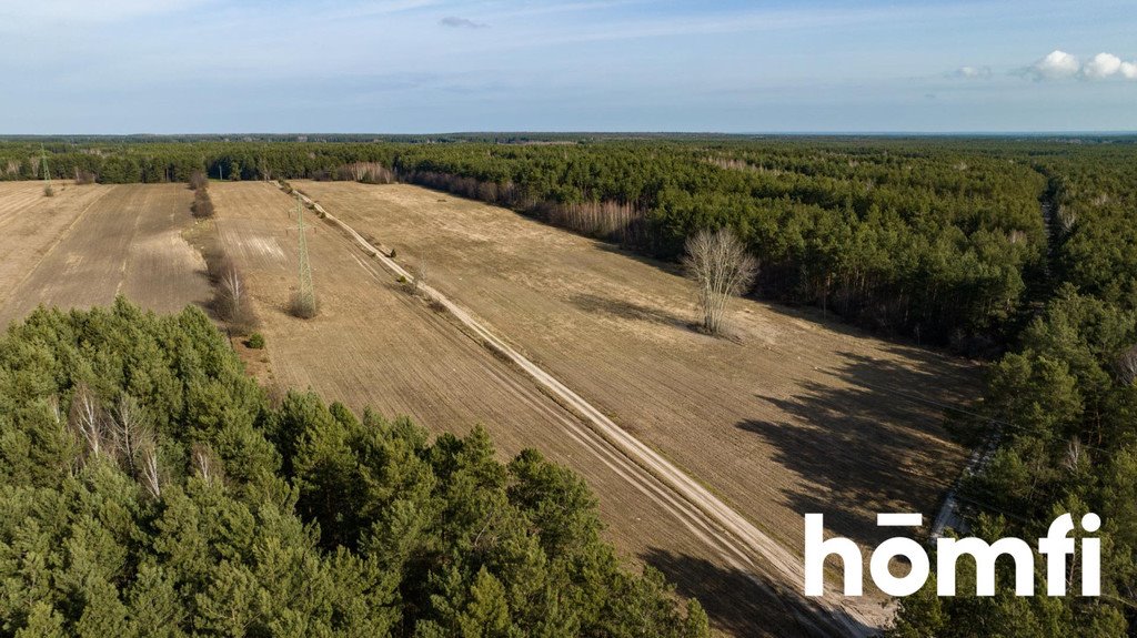 Działka rekreacyjna na sprzedaż Rogożek  140 000m2 Foto 3