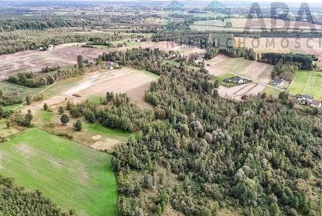 Działka rolna na sprzedaż Brzózki  30 500m2 Foto 2