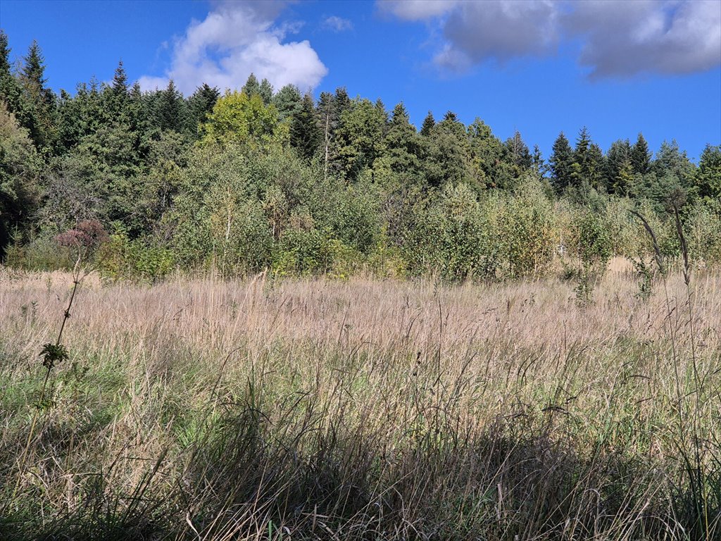 Działka budowlana na sprzedaż Harklowa  6 600m2 Foto 2