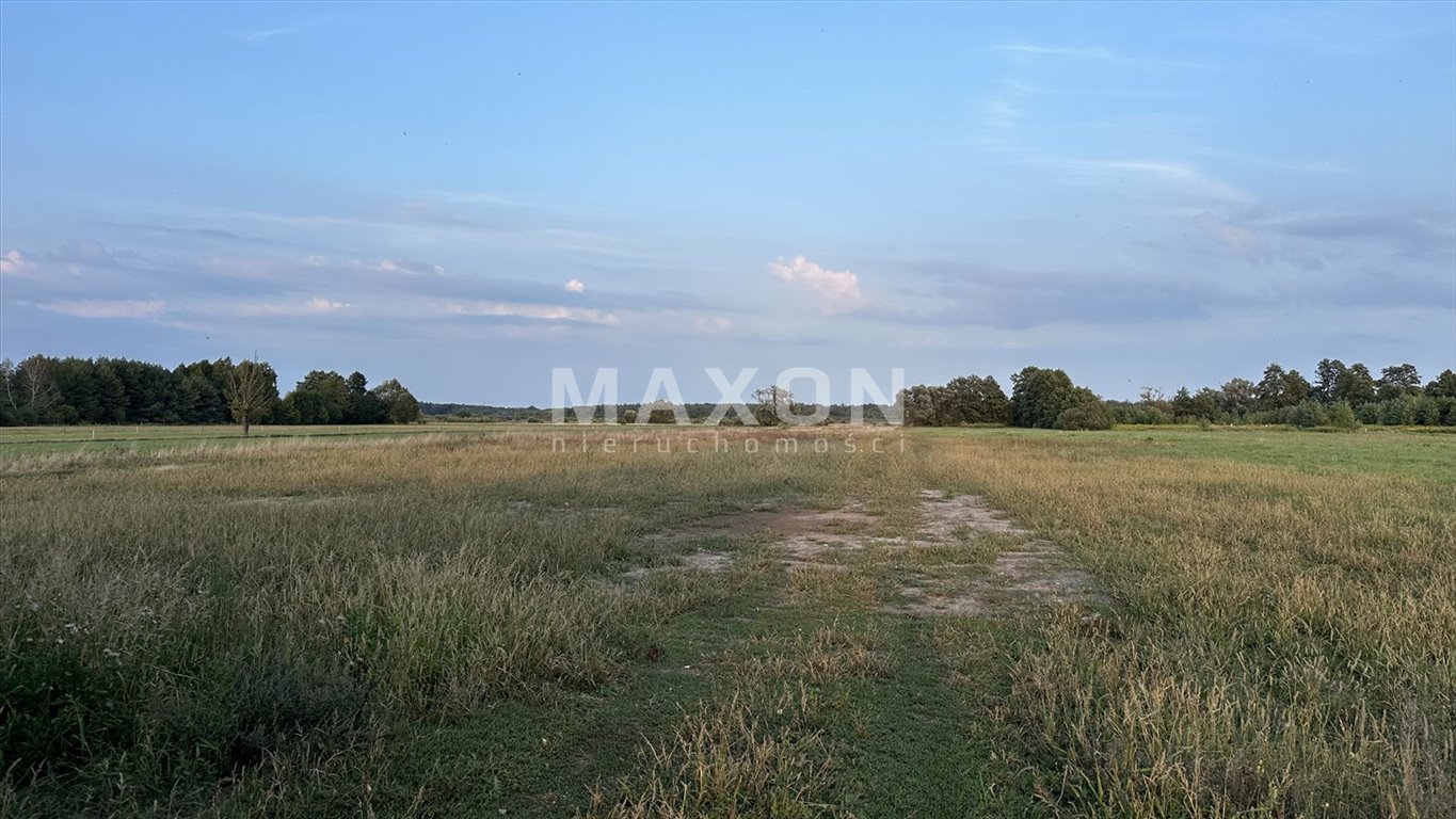 Działka budowlana na sprzedaż Izabelin  9 204m2 Foto 13