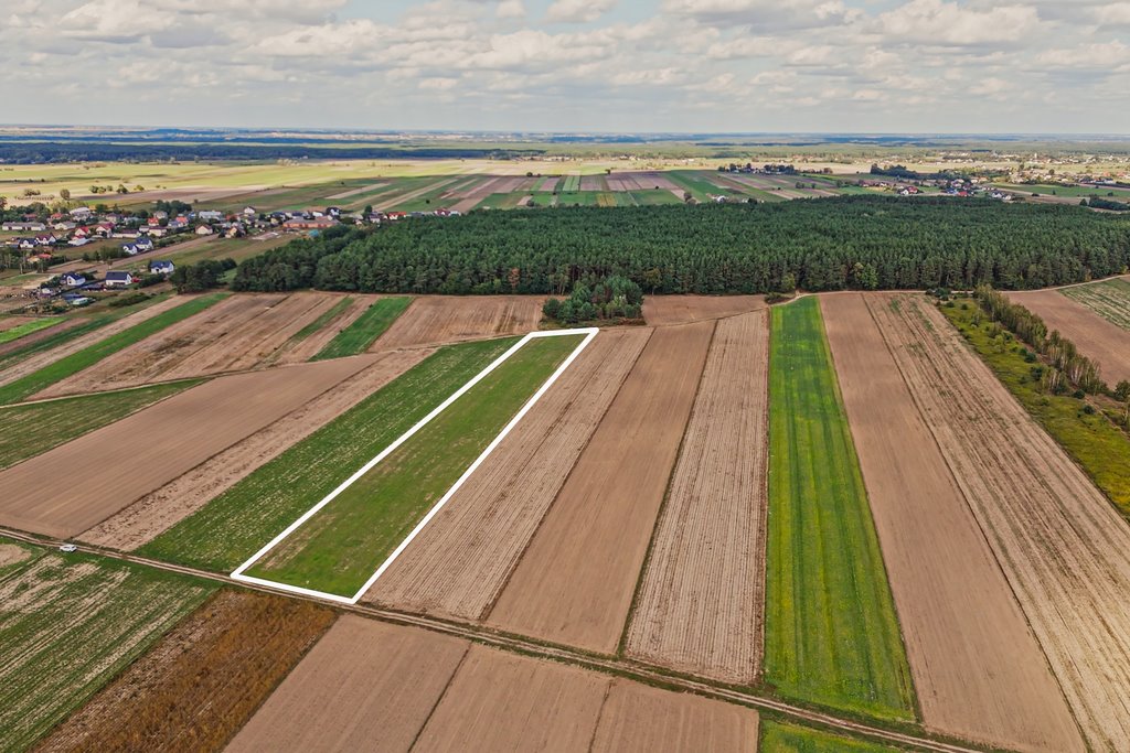 Działka inwestycyjna na sprzedaż Emilianów  11 039m2 Foto 1