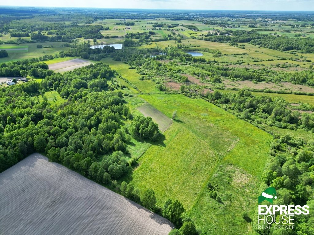 Działka leśna na sprzedaż Świerszczów  12 100m2 Foto 4