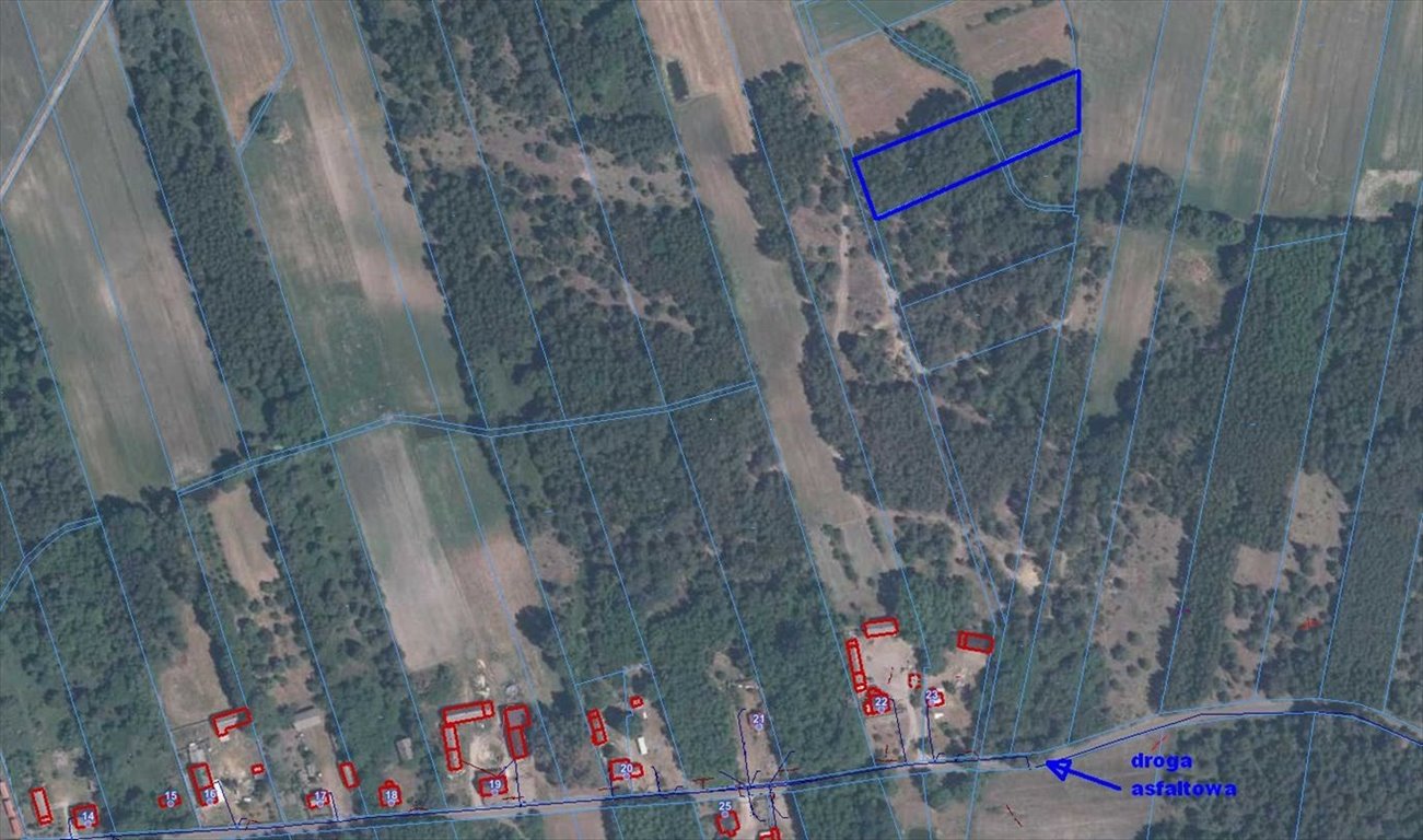 Działka rolna na sprzedaż Antonina  3 200m2 Foto 3