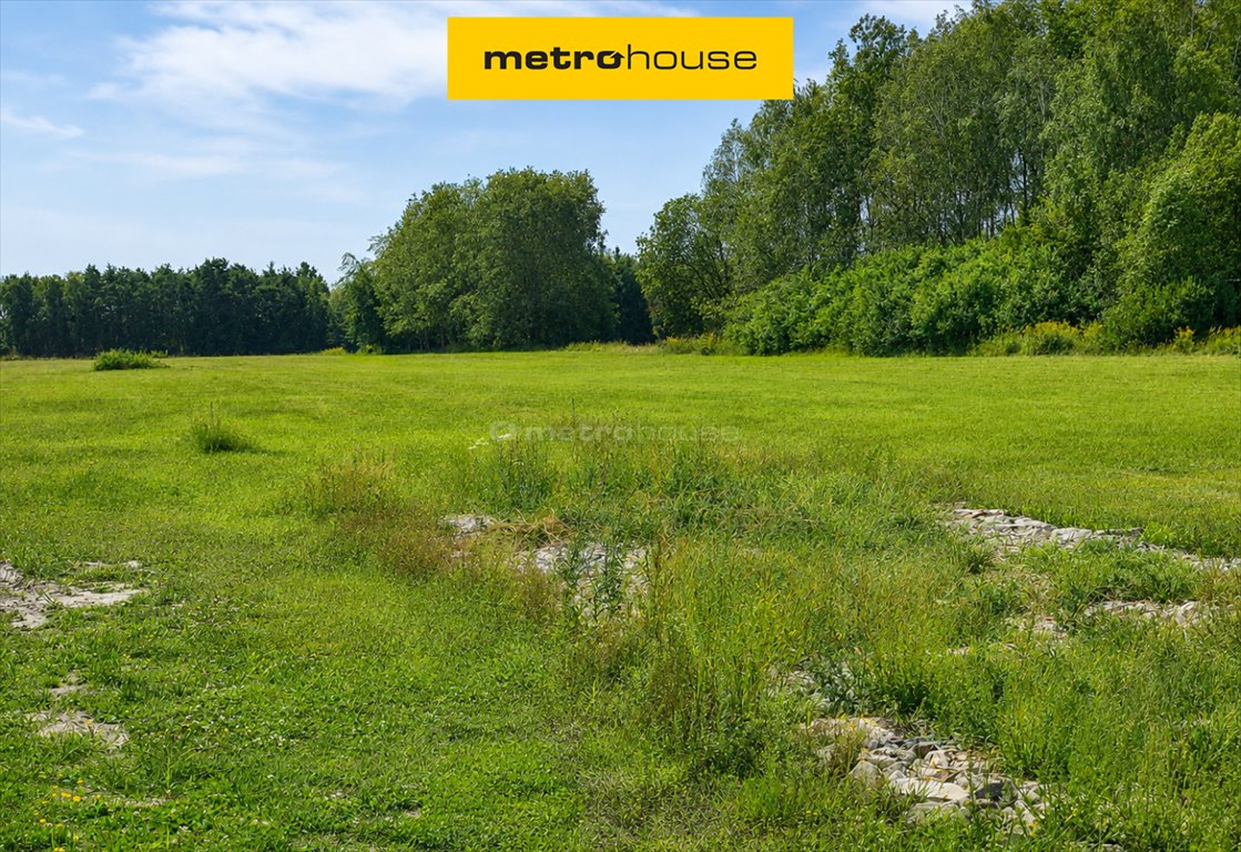 Sprzedam działkę 2000 m² z warunkami zabudowy w Grabce Wręckie Grabce Wręckie, Skierniewicka  2 000m2 Foto 1