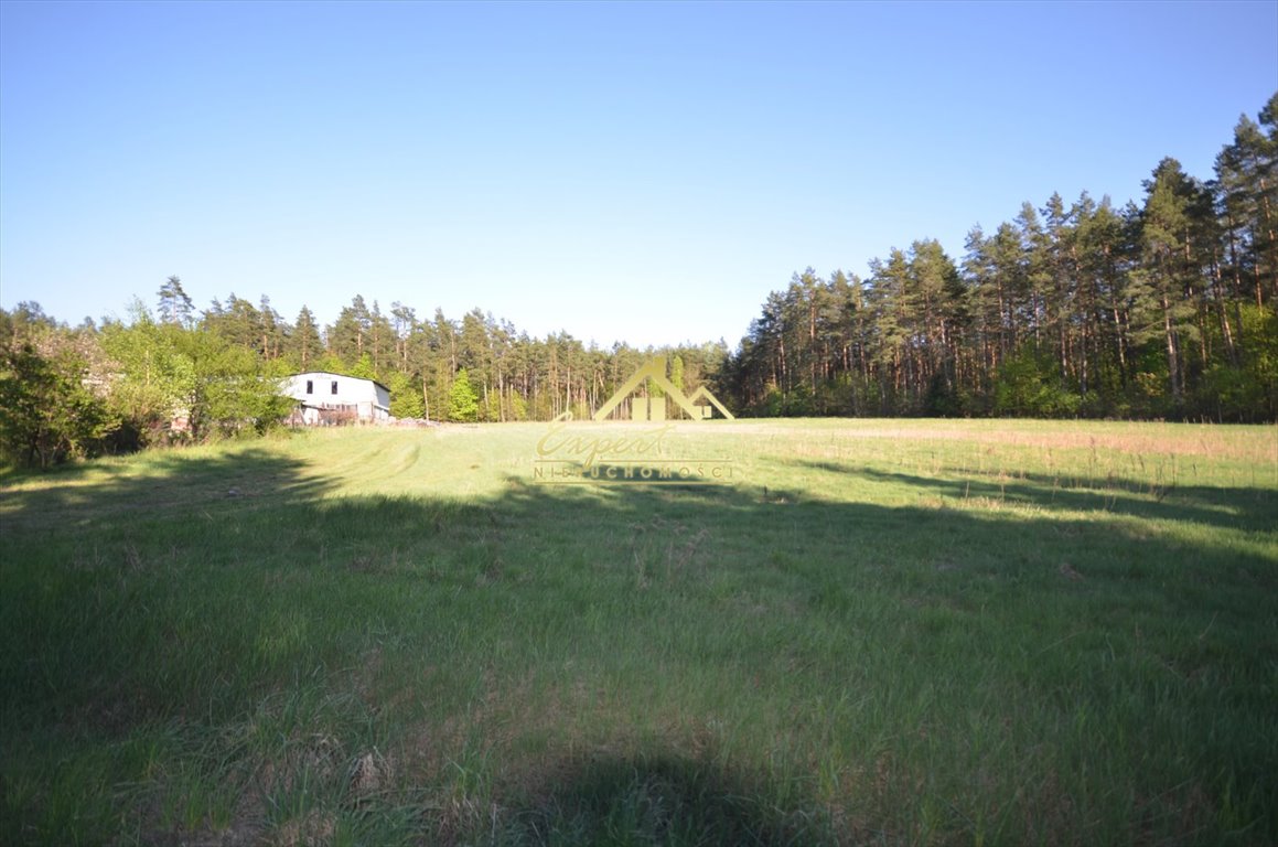 Działka inna na sprzedaż Turznica  3 000m2 Foto 3