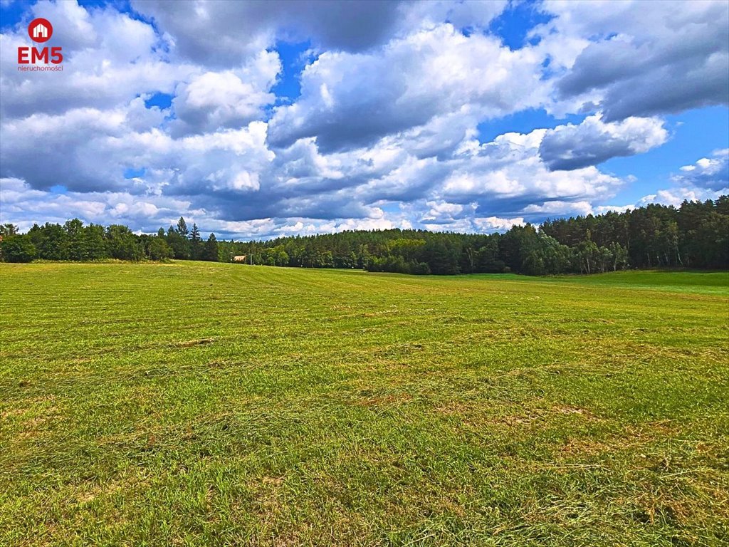 Działka inna na sprzedaż Mierki  2 625m2 Foto 5