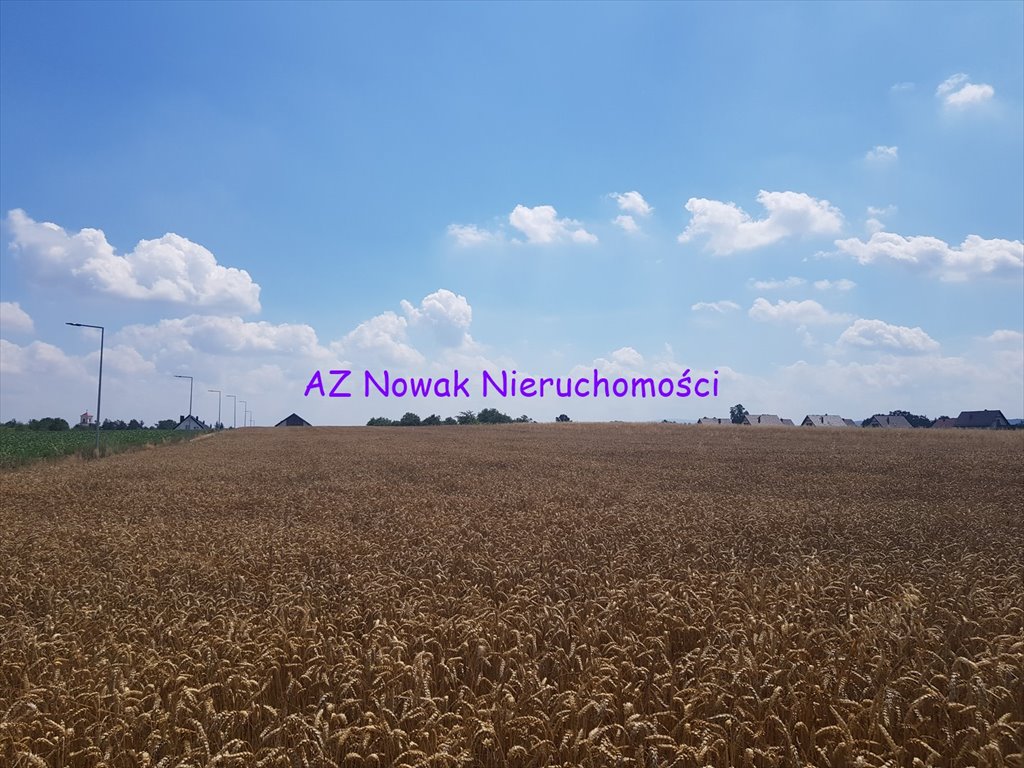 Działka inna na sprzedaż Milikowice  3 928m2 Foto 2