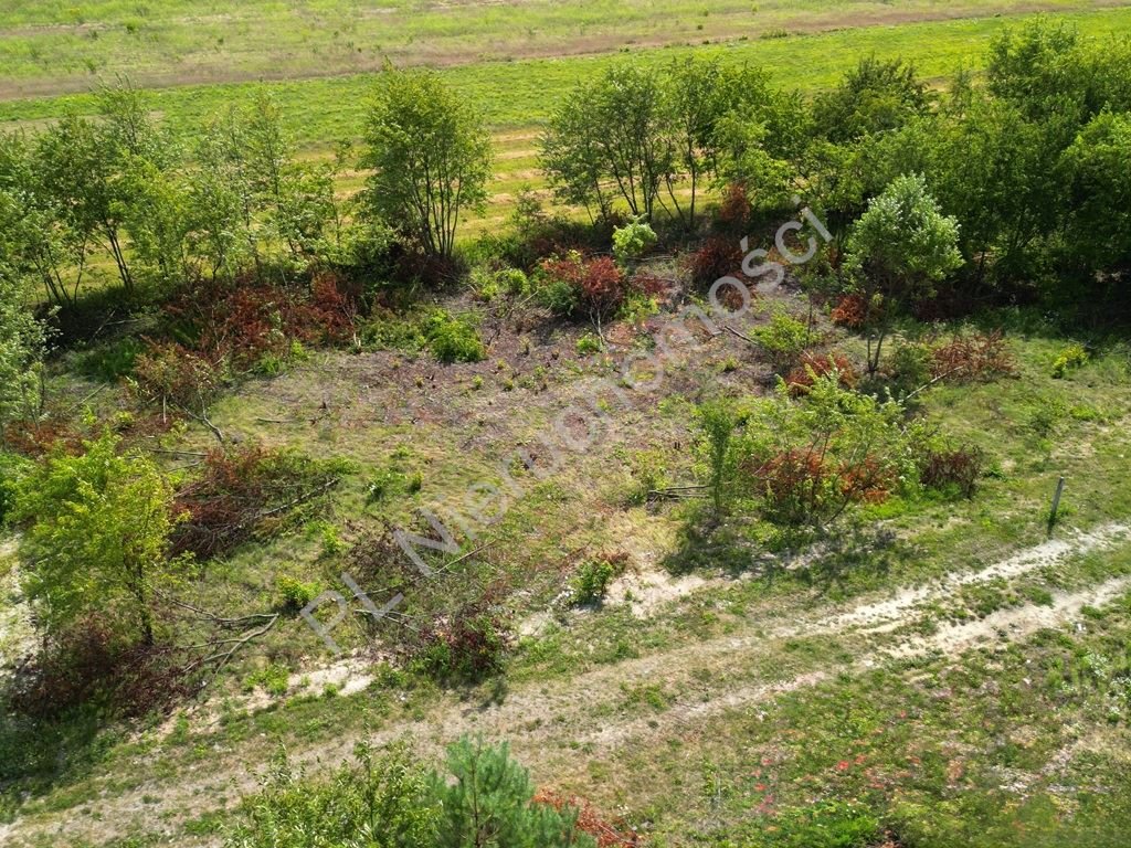 Działka budowlana na sprzedaż Kanie  1 120m2 Foto 2