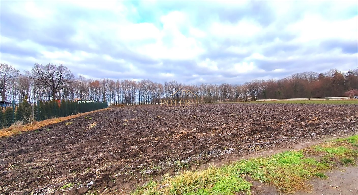 Działka inna na sprzedaż Tyniec Mały  5 900m2 Foto 3