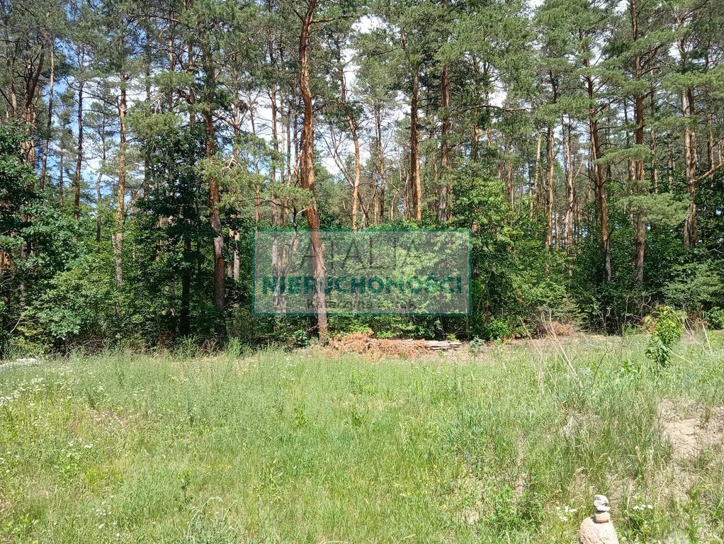 Zapraszam do zakupu działki 2834m² z mediami i podziałem w Żółwinie Żółwin  2 834m2 Foto 1
