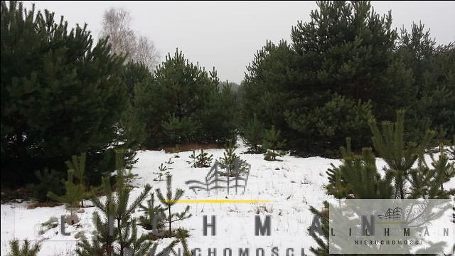Działka 11 400 m² pod rekreację w Zarzęcinie - zapraszam Zarzęcin  11 400m2 Foto 1