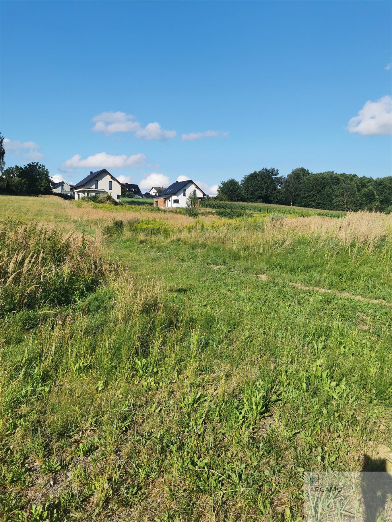 Działka budowlana na sprzedaż Wodzisław Śląski  990m2 Foto 14