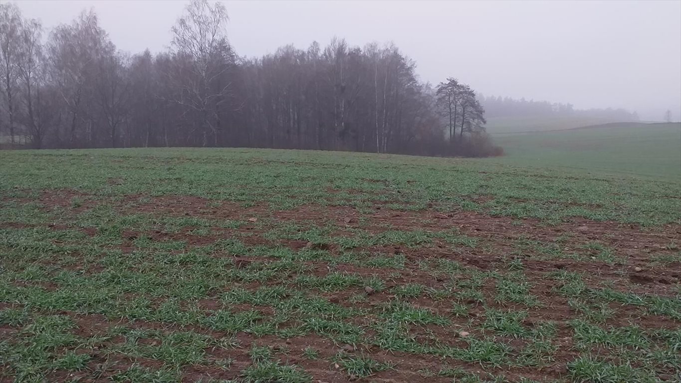 Działka gospodarstwo rolne na sprzedaż Ełk 7 000 000m2 Foto 1 Działka gospodarstwo rolne na sprzedaż Ełk 7 000 000m2 Foto 1