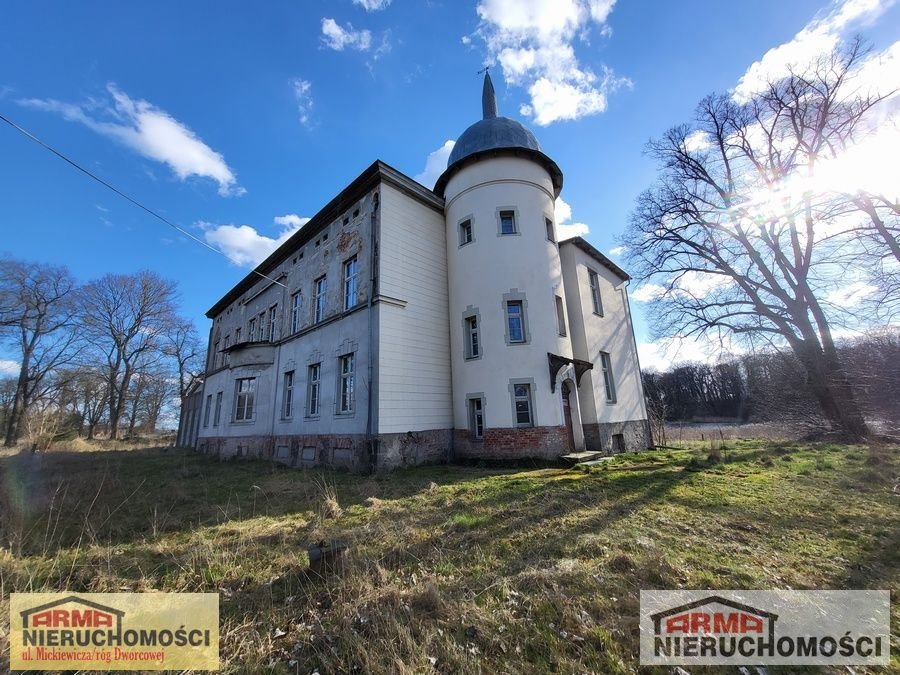 Zabytkowy pałac z jeziorem i parkiem - 2,5 ha w Krąpieli Krąpiel  2 500m2 Foto 1