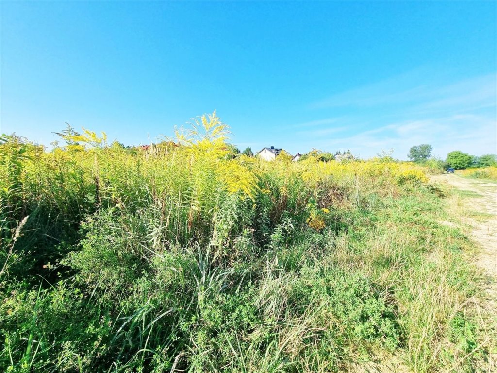 Działka budowlana na sprzedaż Macierzysz, Szeligi, SZELIGI BLISKO METRA  2 484m2 Foto 2