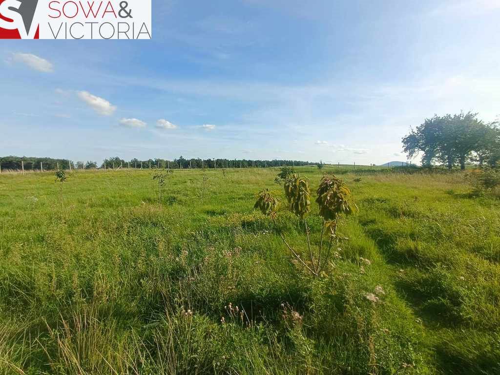 Działka inna na sprzedaż Cieszów  4 624m2 Foto 3