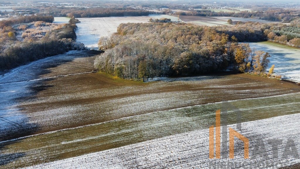 Działka inna na sprzedaż Prusice  36 600m2 Foto 7