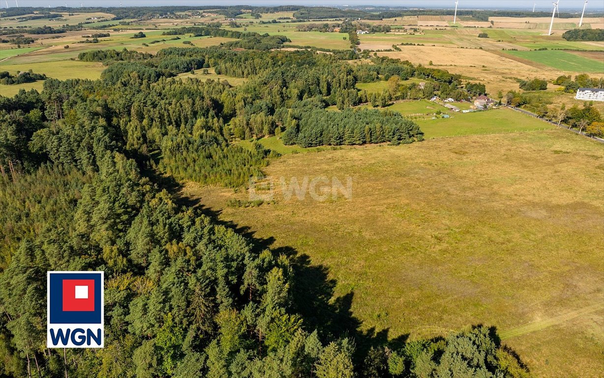 Działka siedliskowa na sprzedaż Kanin, Kanin  3 000m2 Foto 5