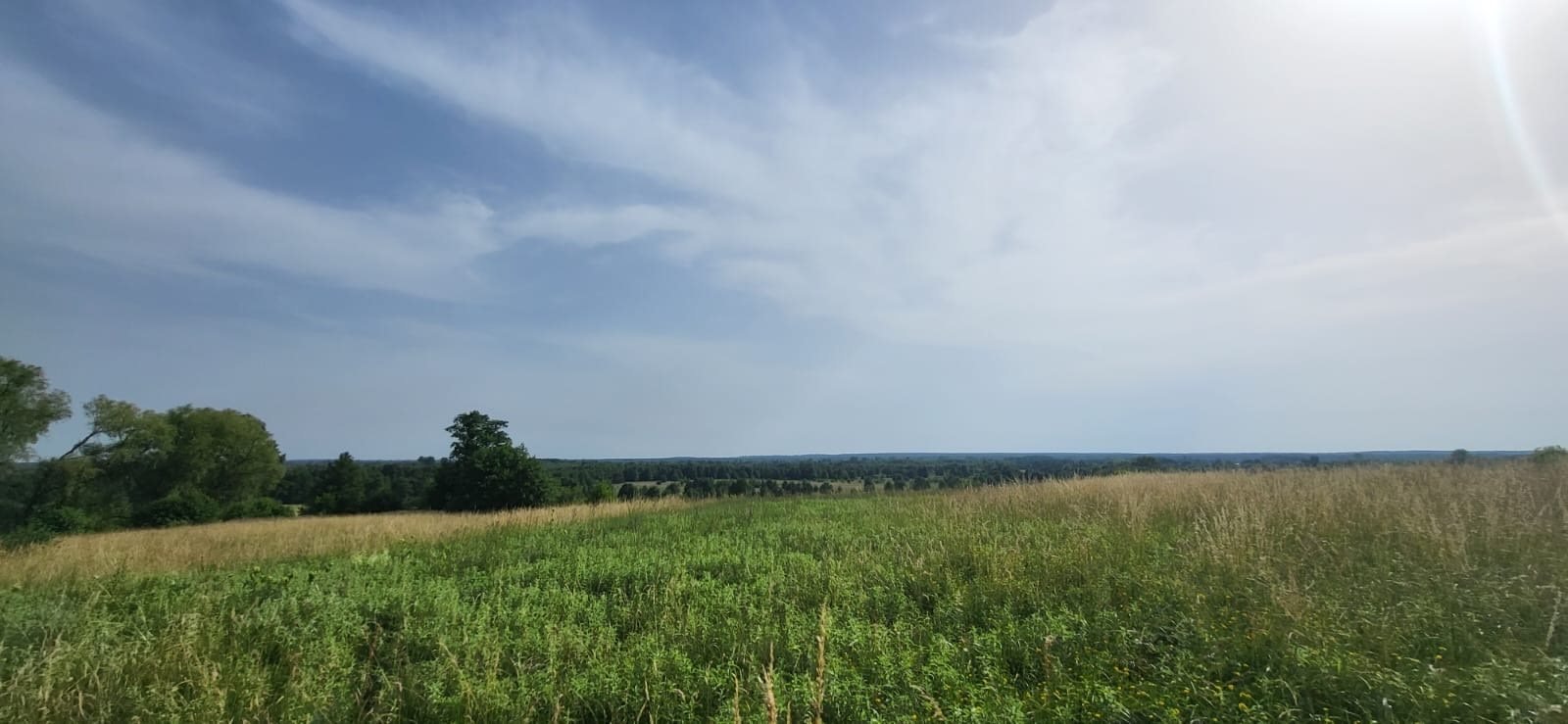 Działka inna na sprzedaż Strońsko  4 900m2 Foto 12