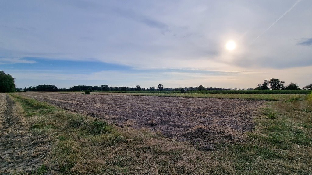 Działka budowlana na sprzedaż Dominikowice  600m2 Foto 3