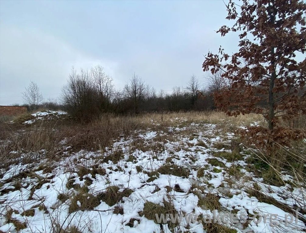 Działka usługowa 3822 m² z prądem i wodą - polecam Budy Mszczonowskie  3 822m2 Foto 1
