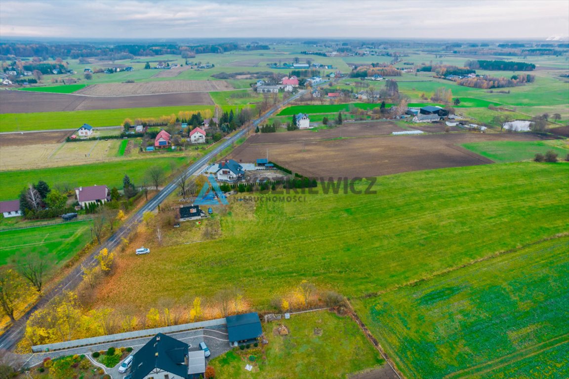 Działka budowlana na sprzedaż Łubna  7 700m2 Foto 5