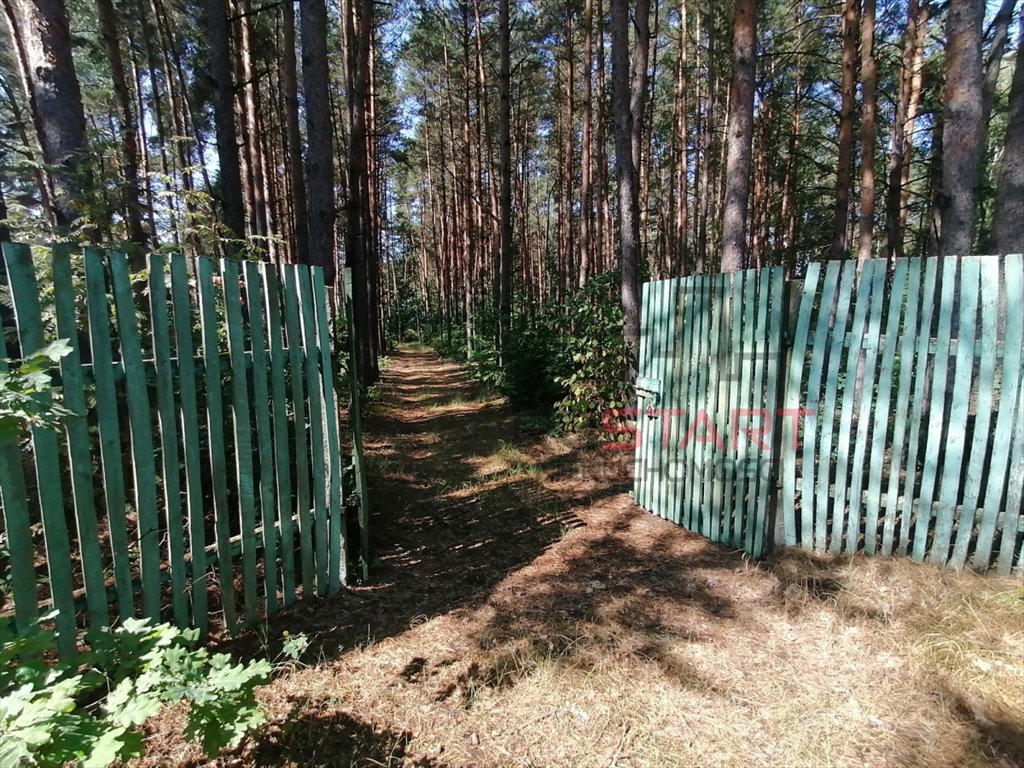 Działka budowlana na sprzedaż Krzyżówka  3 400m2 Foto 9