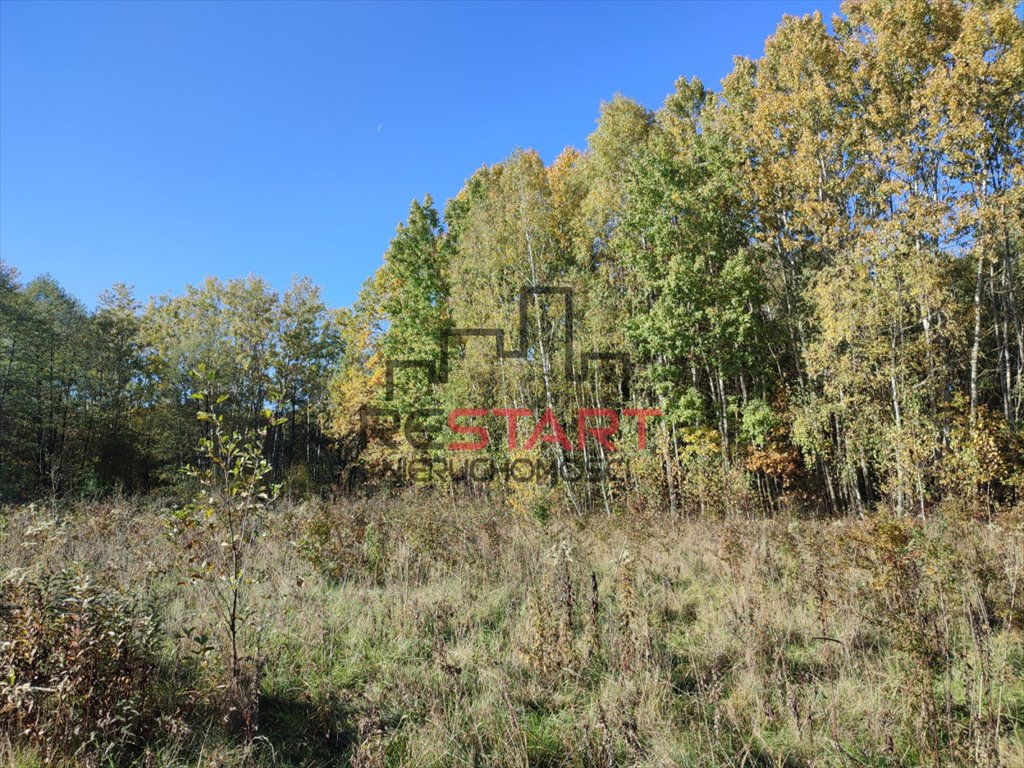 Działka rolna na sprzedaż Adamów-Parcel  20 800m2 Foto 11