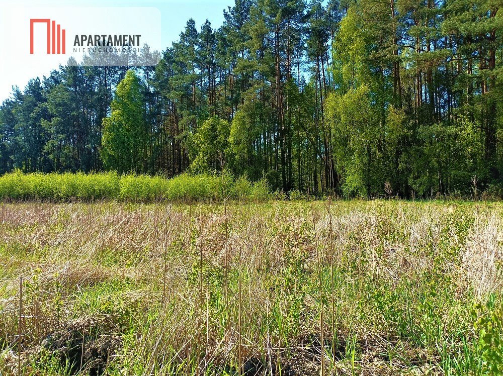 Piękna działka budowlana z lasem, cisza i rekreacja Nekla  1 248m2 Foto 1