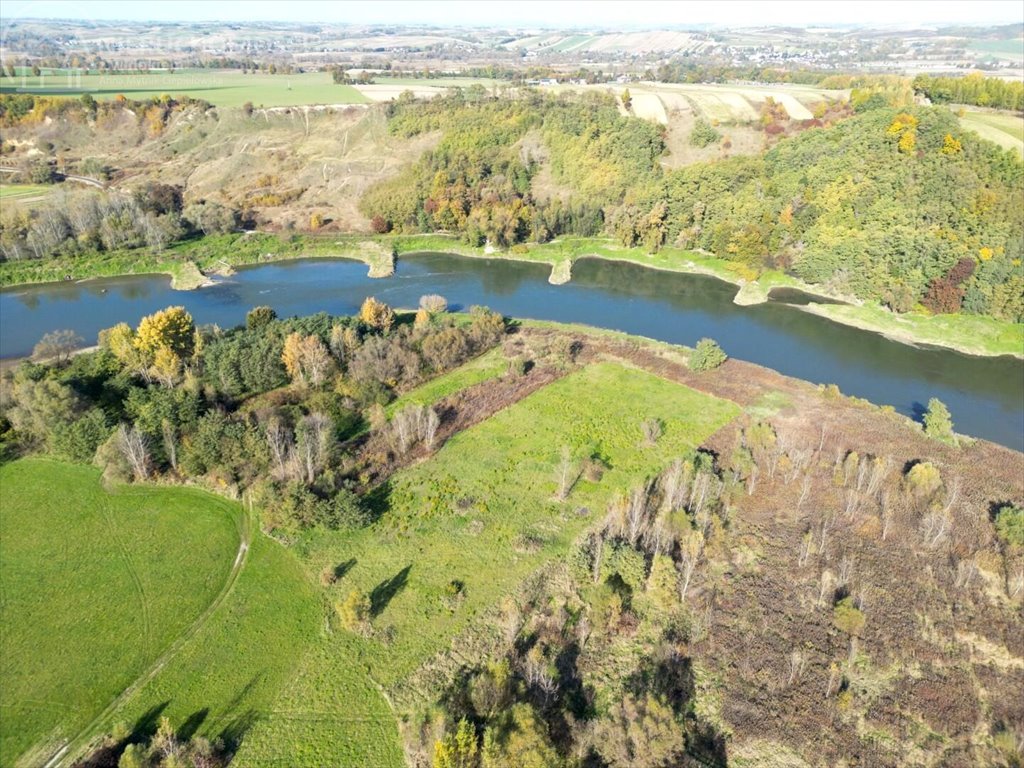 Działka rolna na sprzedaż Dąbrówka Morska  9 500m2 Foto 2