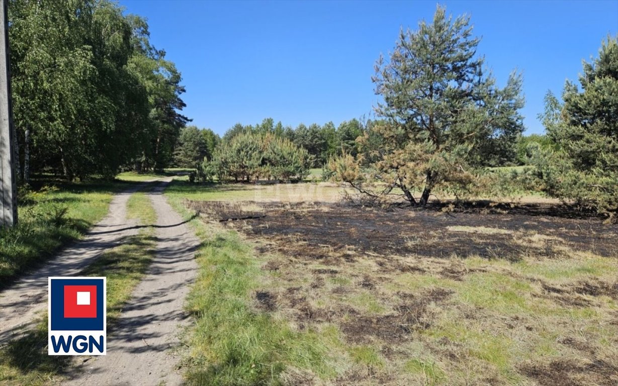 Działka budowlana na sprzedaż Jastrząb, Leśna  1 394m2 Foto 10