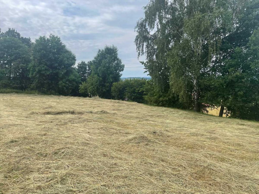 Działka inna na sprzedaż Kłodzko, Wojbórz  2 700m2 Foto 2