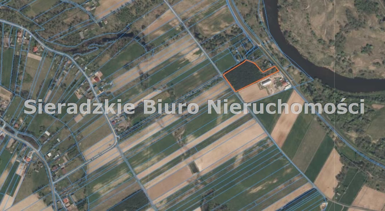 Zdjęcie 3