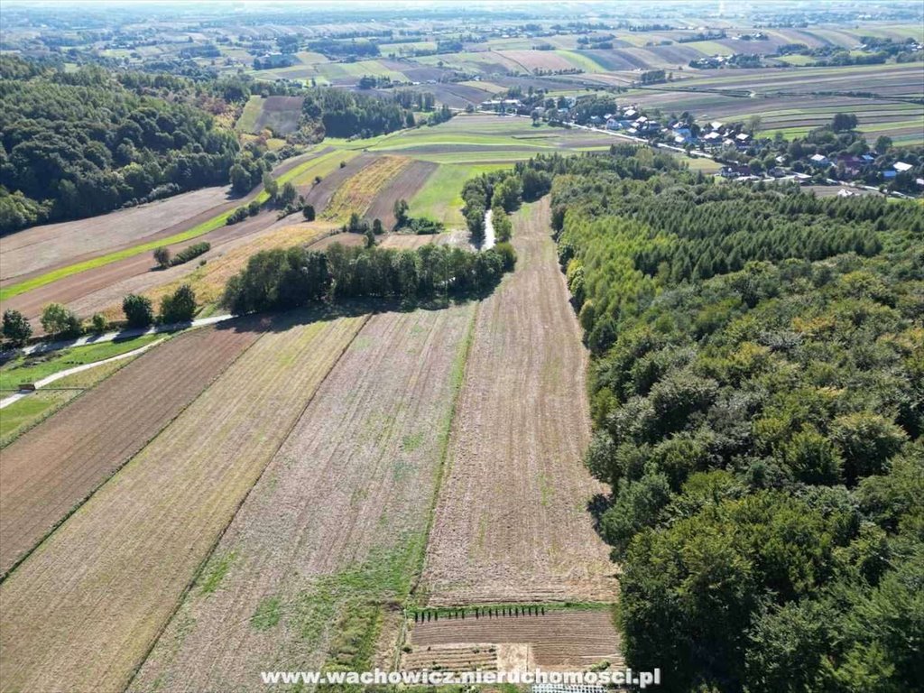 Działka rolna na sprzedaż Podleśna Wola Górna  13 870m2 Foto 5