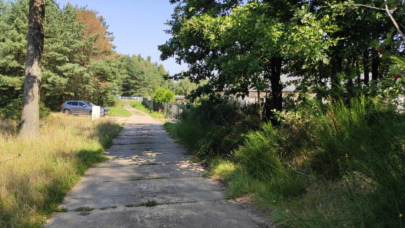 Działka leśna z prawem budowy na sprzedaż Głobino, Przy Lesie  6 200m2 Foto 16