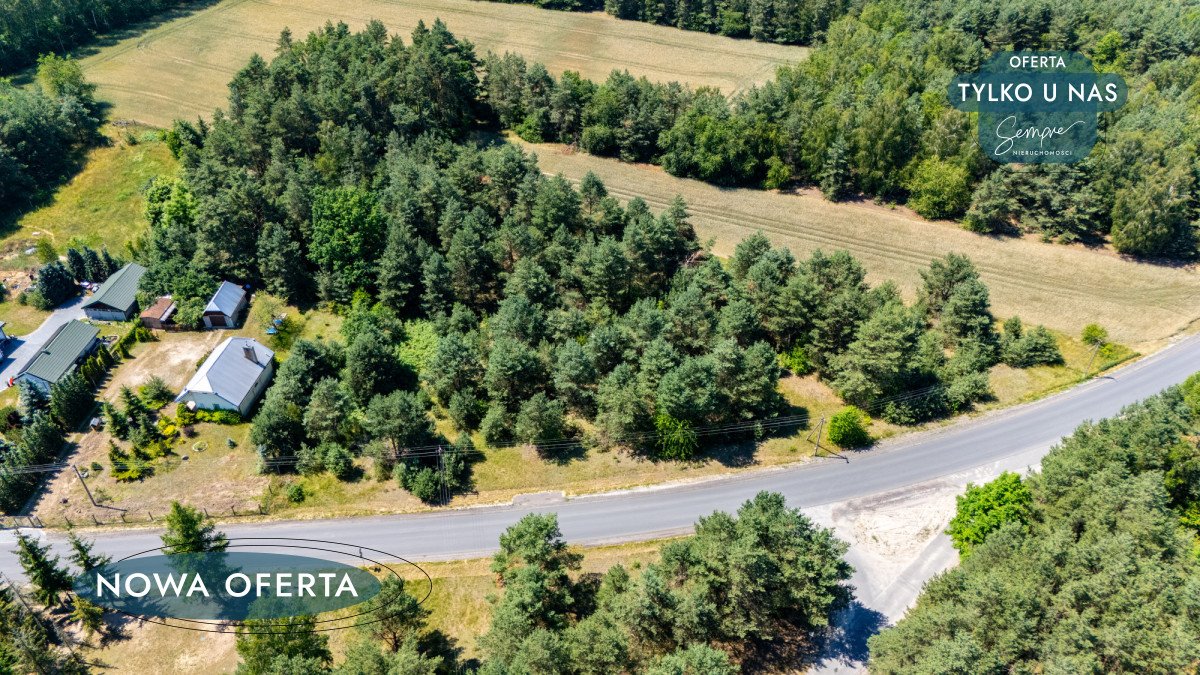 Przestronna działka w Gucinie z mediami i dużym potencjałem. Gucin  5 851m2 Foto 1