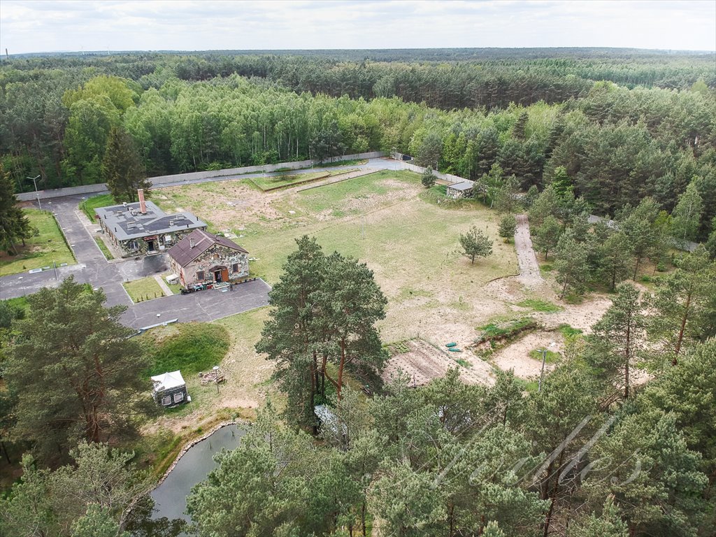 Lokal użytkowy na sprzedaż Gucin  250m2 Foto 7