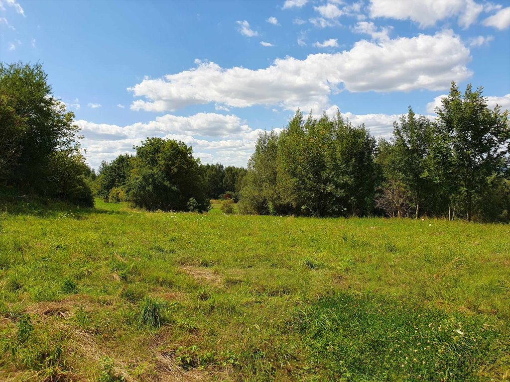 Działka budowlana na sprzedaż Tyczyn, Zagrody  1 825m2 Foto 5