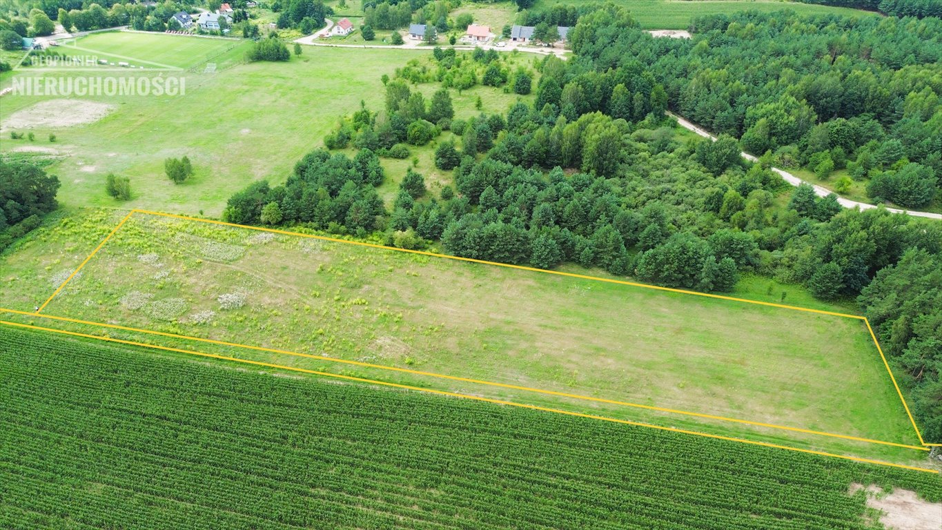 Działka budowlana na sprzedaż Zwierzewo, Zwierzewo  12 894m2 Foto 1