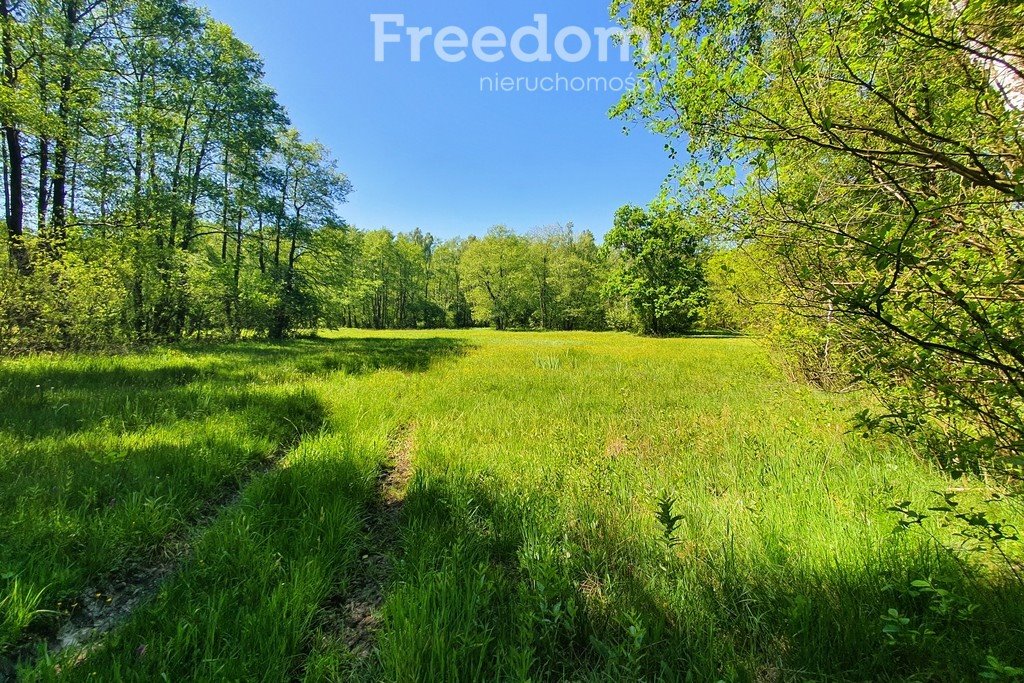 Działka rolna na sprzedaż Maksymilianów  32 700m2 Foto 9