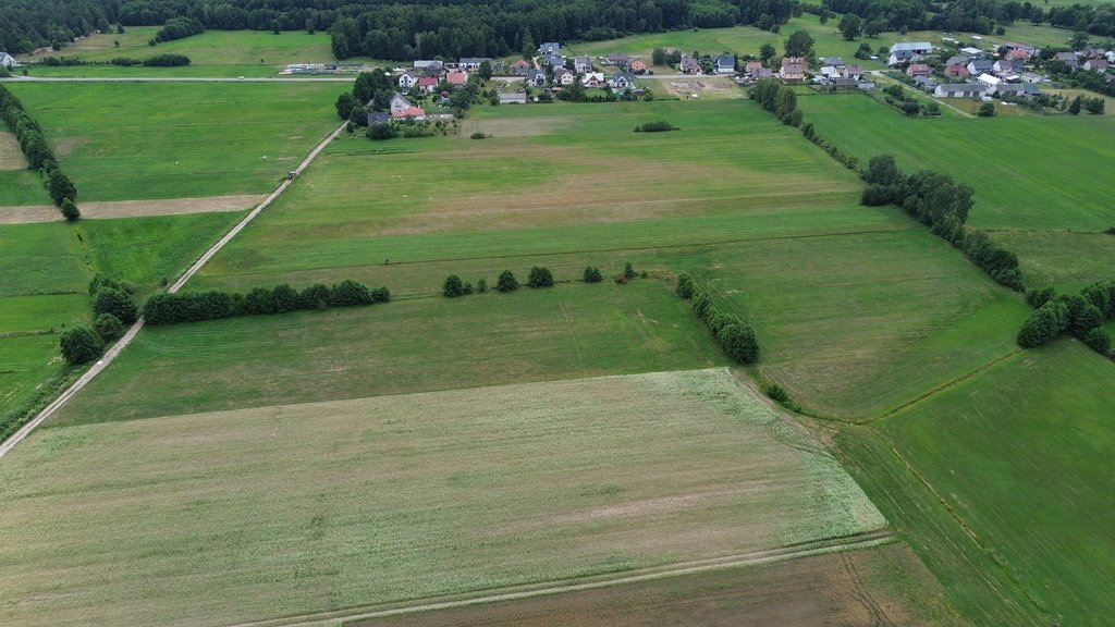 Działka rolna na sprzedaż Nakły  23 600m2 Foto 5