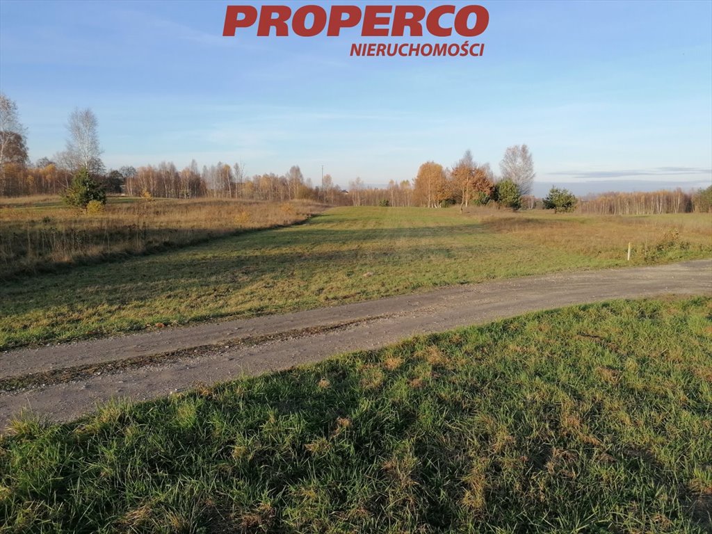Polecam działkę 4500 m² w spokojnej okolicy pod Kielcami Jaworznia  4 500m2 Foto 1