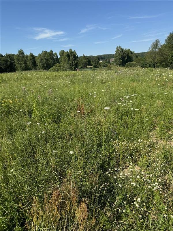 Działka inna na sprzedaż Koszalin, Rokosowo Dzierżęcin, Rokosowo-Dzierżęcin, Żurawia  700m2 Foto 2