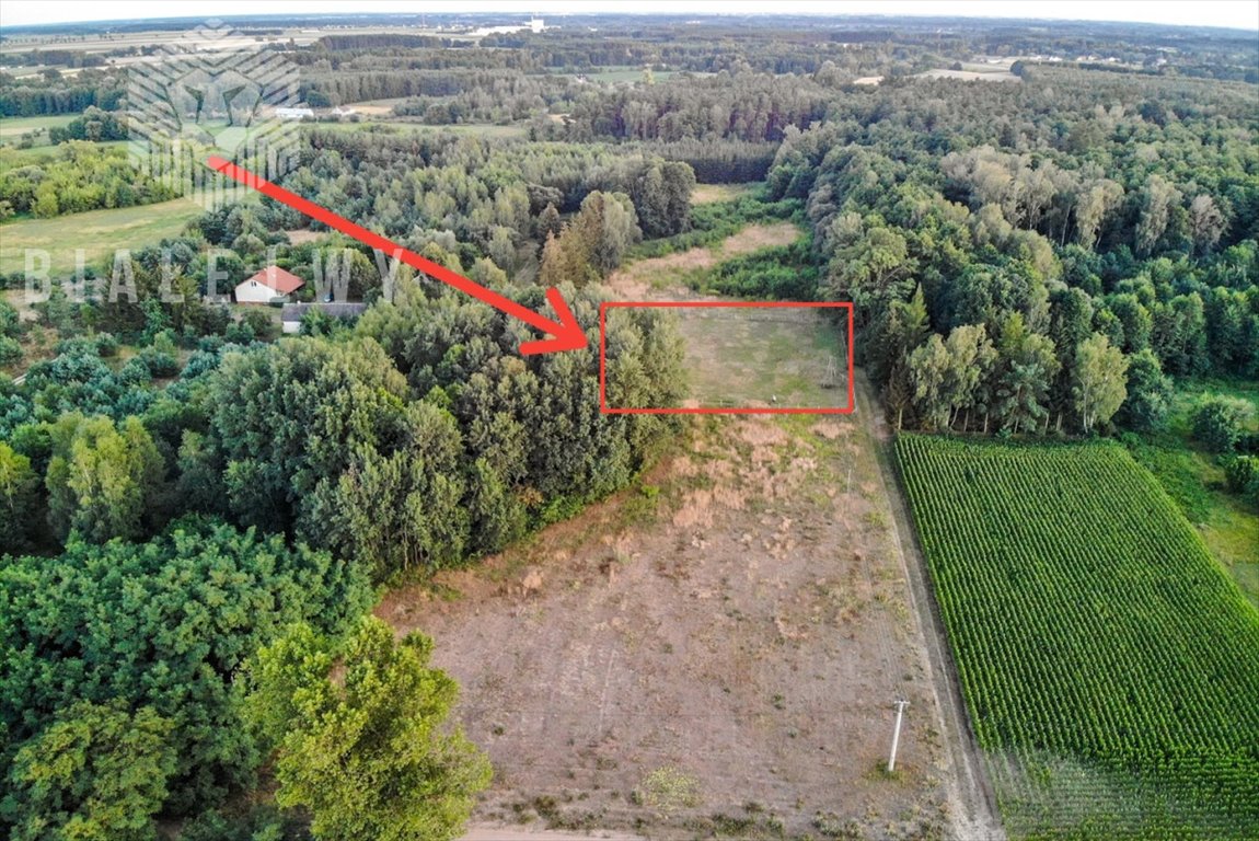 Działka rolna na sprzedaż Baraki  3 000m2 Foto 1