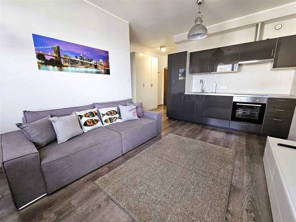 Nowoczesne 2-pokojowe mieszkanie z balkonem i widokiem na Park Śląski Katowice, Osiedle Tysiąclecia, Chorzowska  39m2 Foto 1