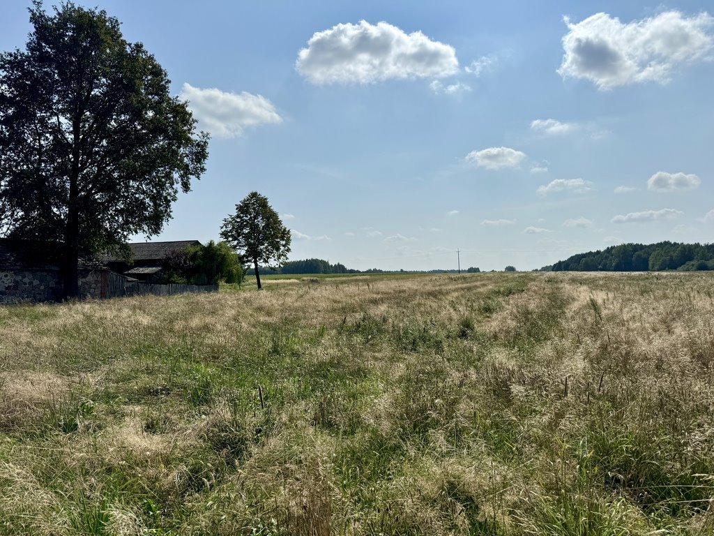 Działka budowlana na sprzedaż Kamostek  2 500m2 Foto 3